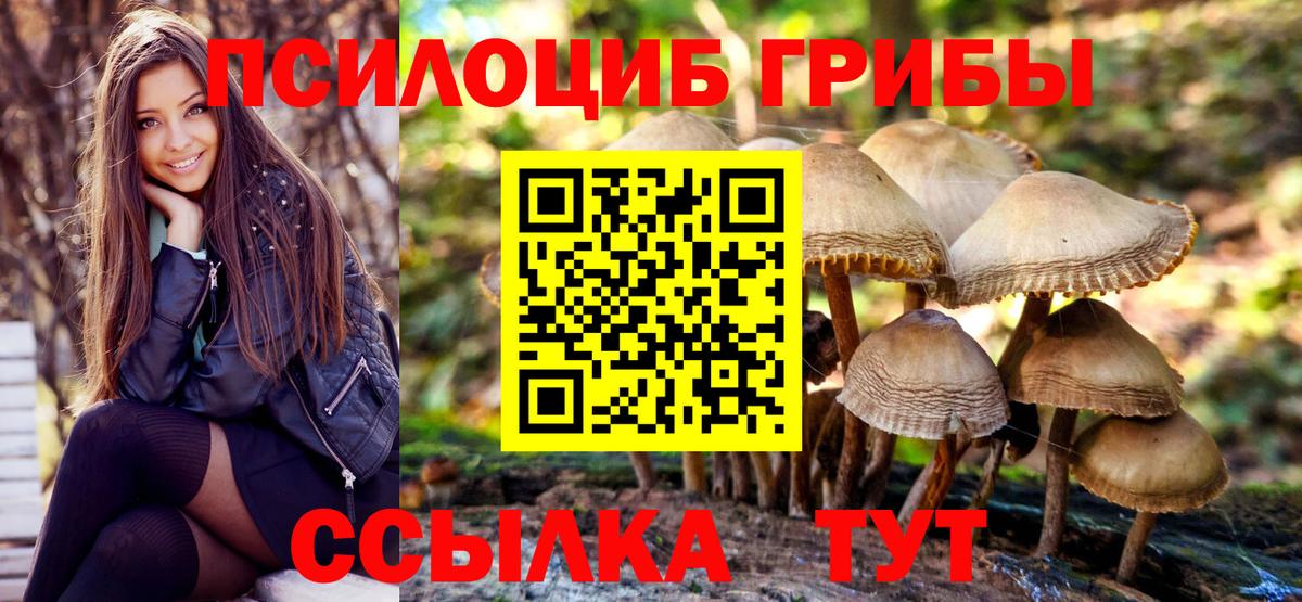 Кстово  Псилоцибиновые грибы прущие грибы  Псилоцибиновые грибы прущие грибы  Вход с VPN 